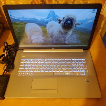 HP 17inch